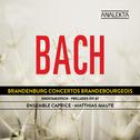 Bach: Brandenburg Concertos - Shostakovich: Preludes Op. 87专辑