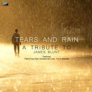 James Blunt - No Tears （降5半音）