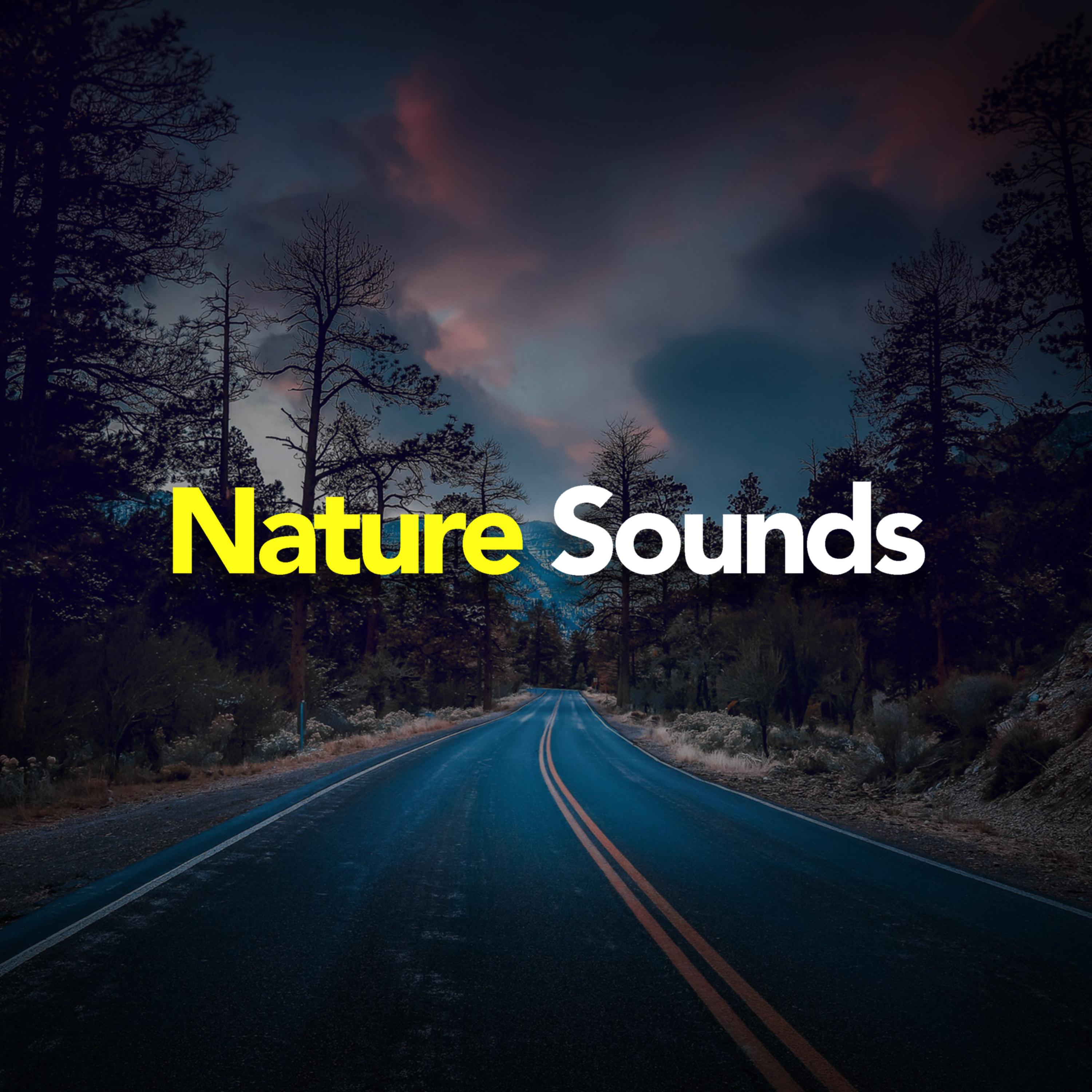 Nature Sounds
