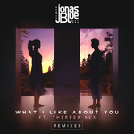 What I Like About You (Marvin Vogel Remix)