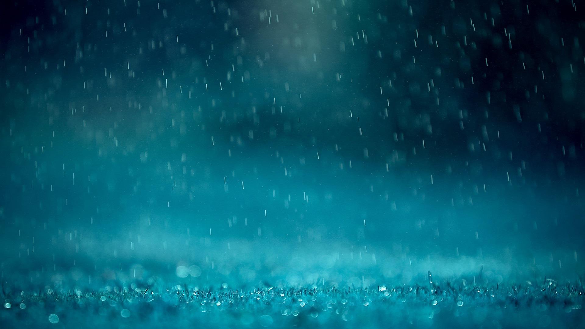 雨中行专辑