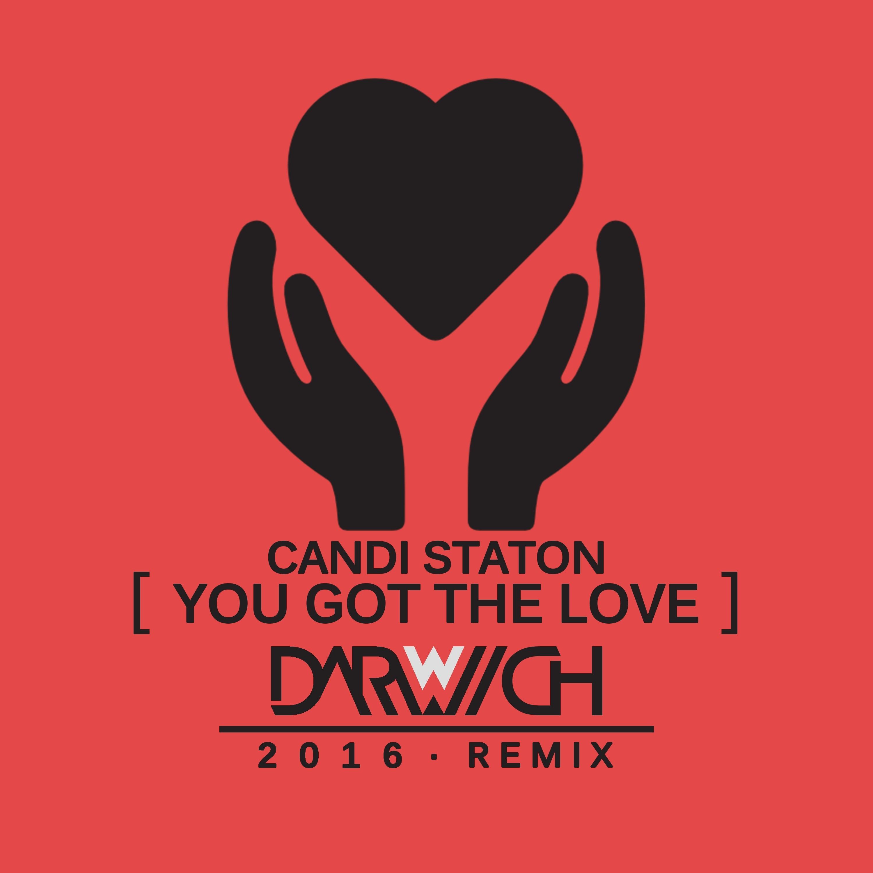 You Got the Love (Remixes)