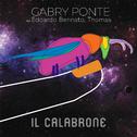 Il Calabrone专辑