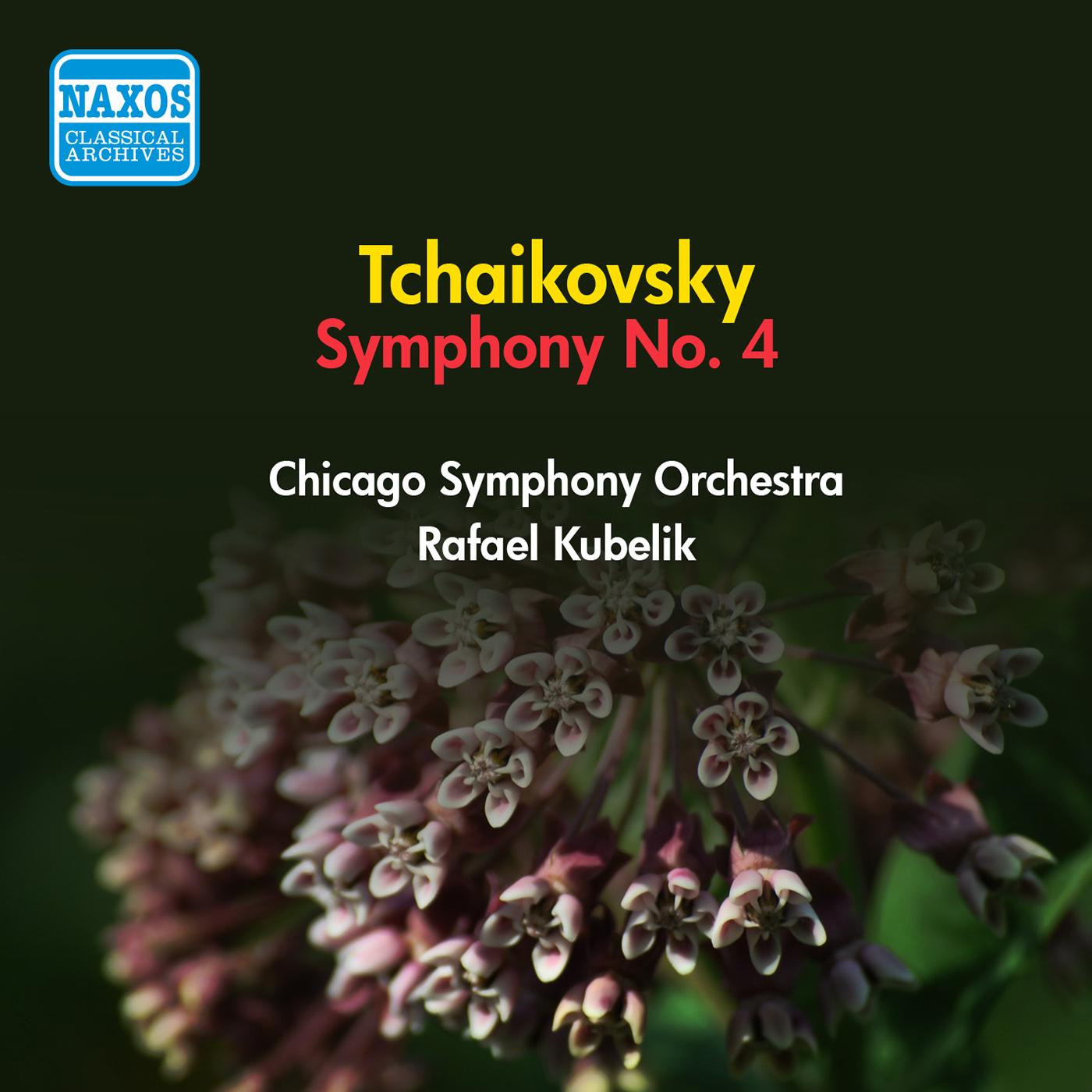 TCHAIKOVSKY, P.I.: Symphony No. 4 (Chicago Symphony, Kubelik) (1951)