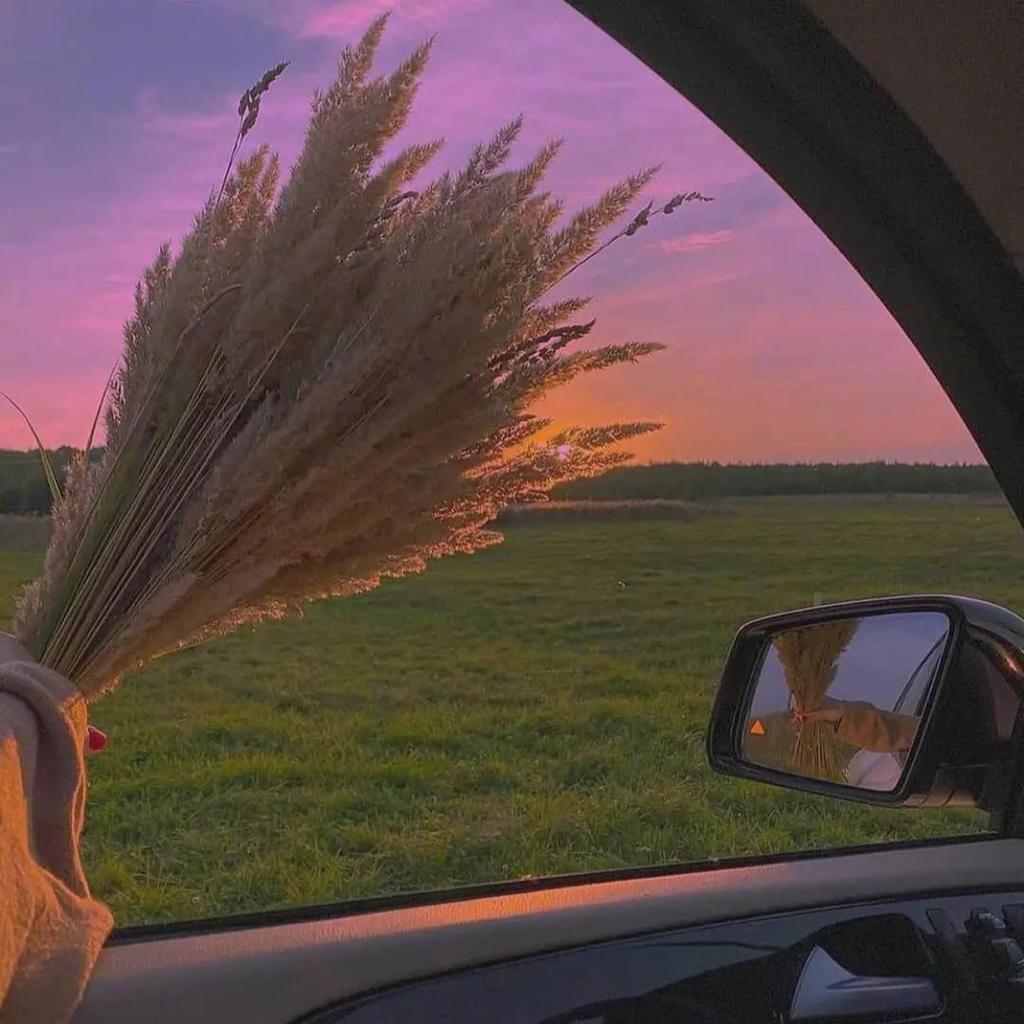 on the road