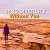 Sync Diversity - Projects
