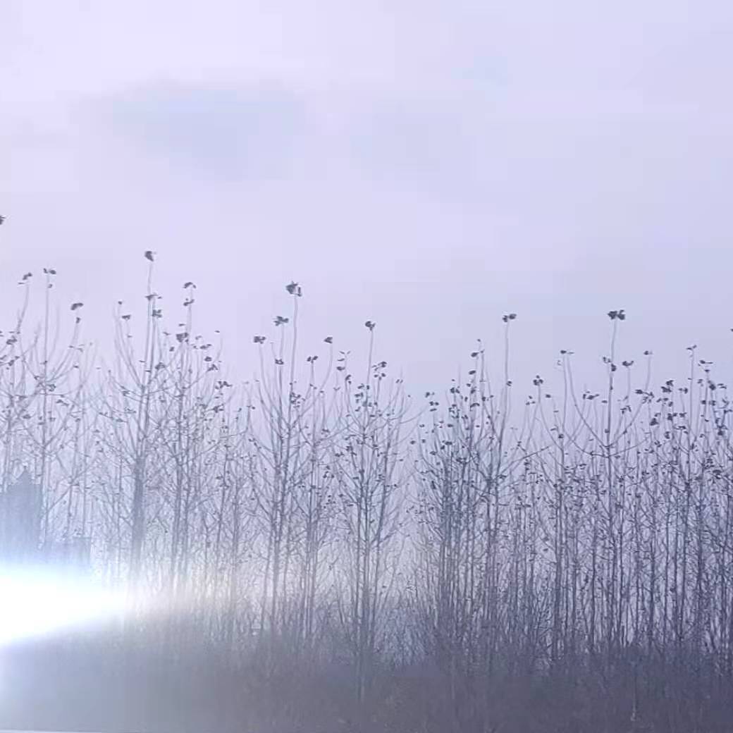 暗流