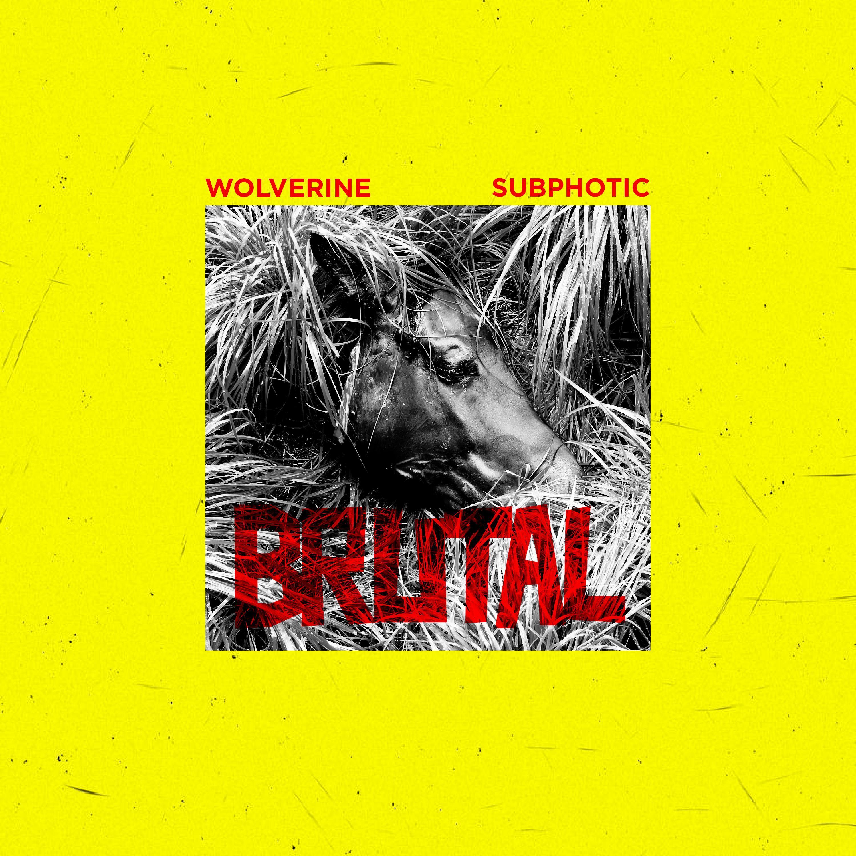 Brutal (feat. Subphotic)