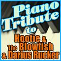 Hootie & The Blowfish and Darius Rucker Tribute专辑