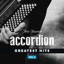 Accordion, Greatest Hits, Vol. 2