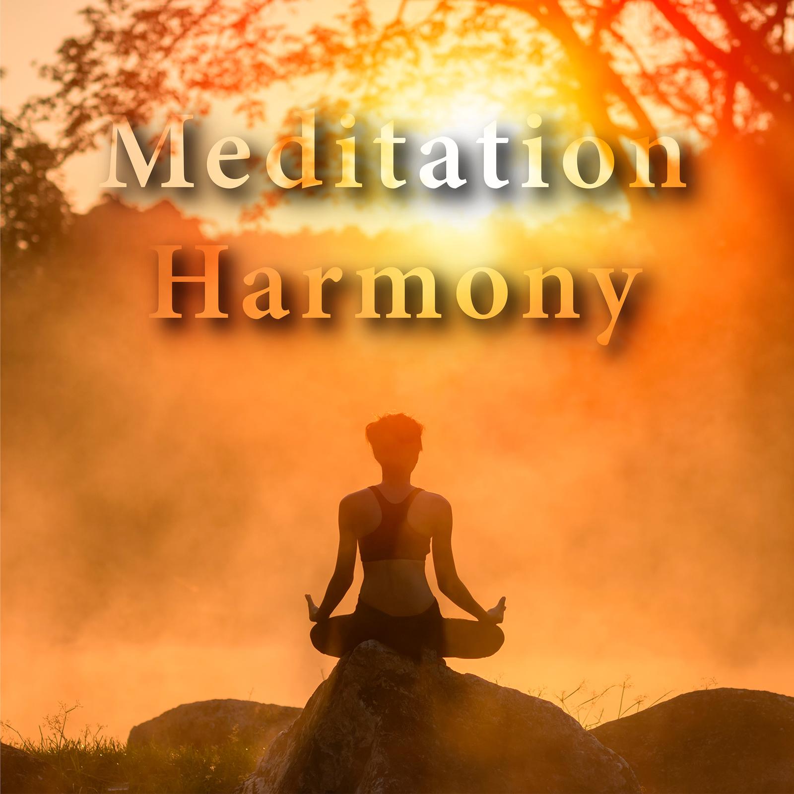 Meditation: Harmony