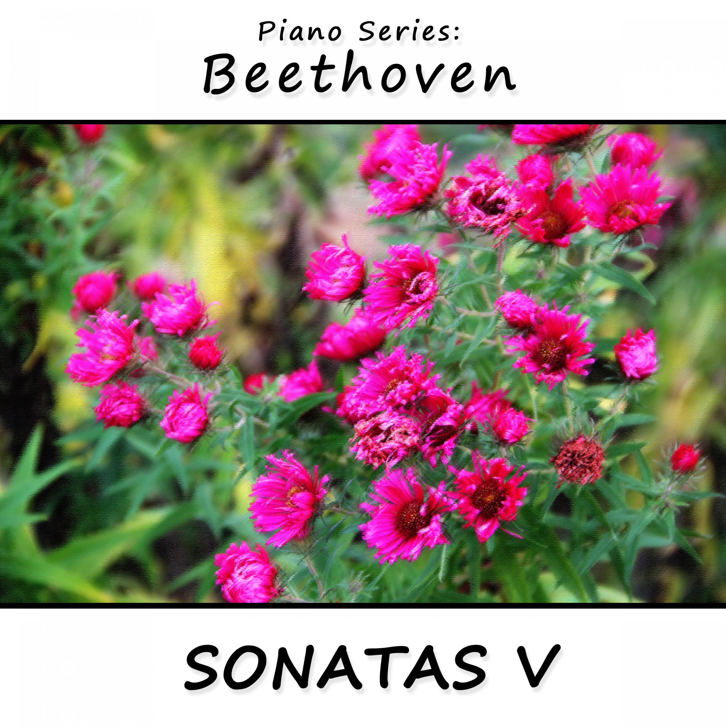 Piano Series: Beethoven