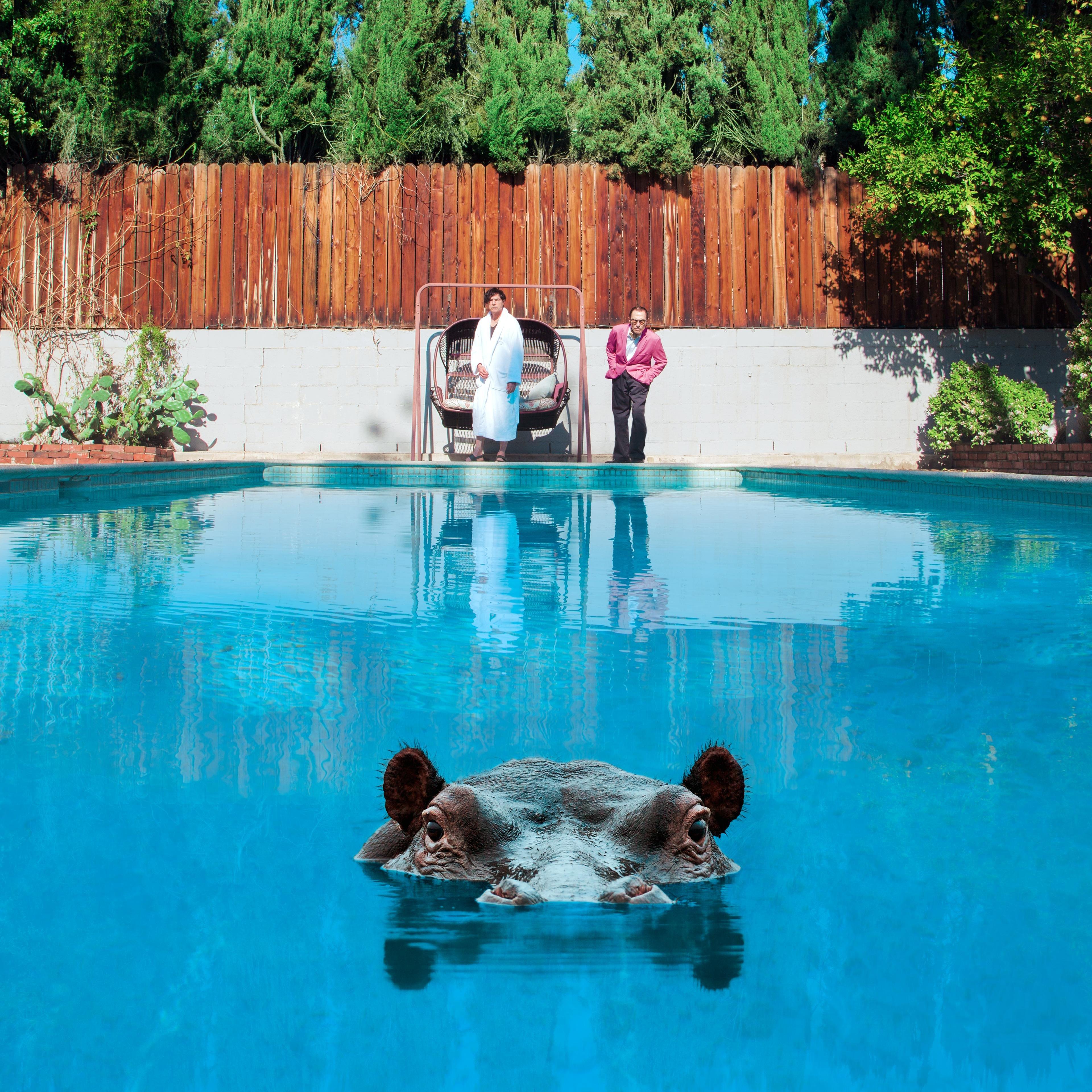Hippopotamus