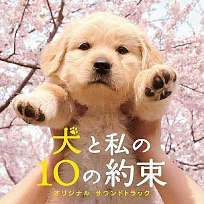 犬と私の10の约束专辑