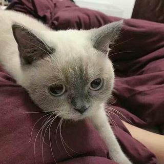 Remix 说唱♡ 精选