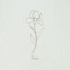 Flower Girl专辑