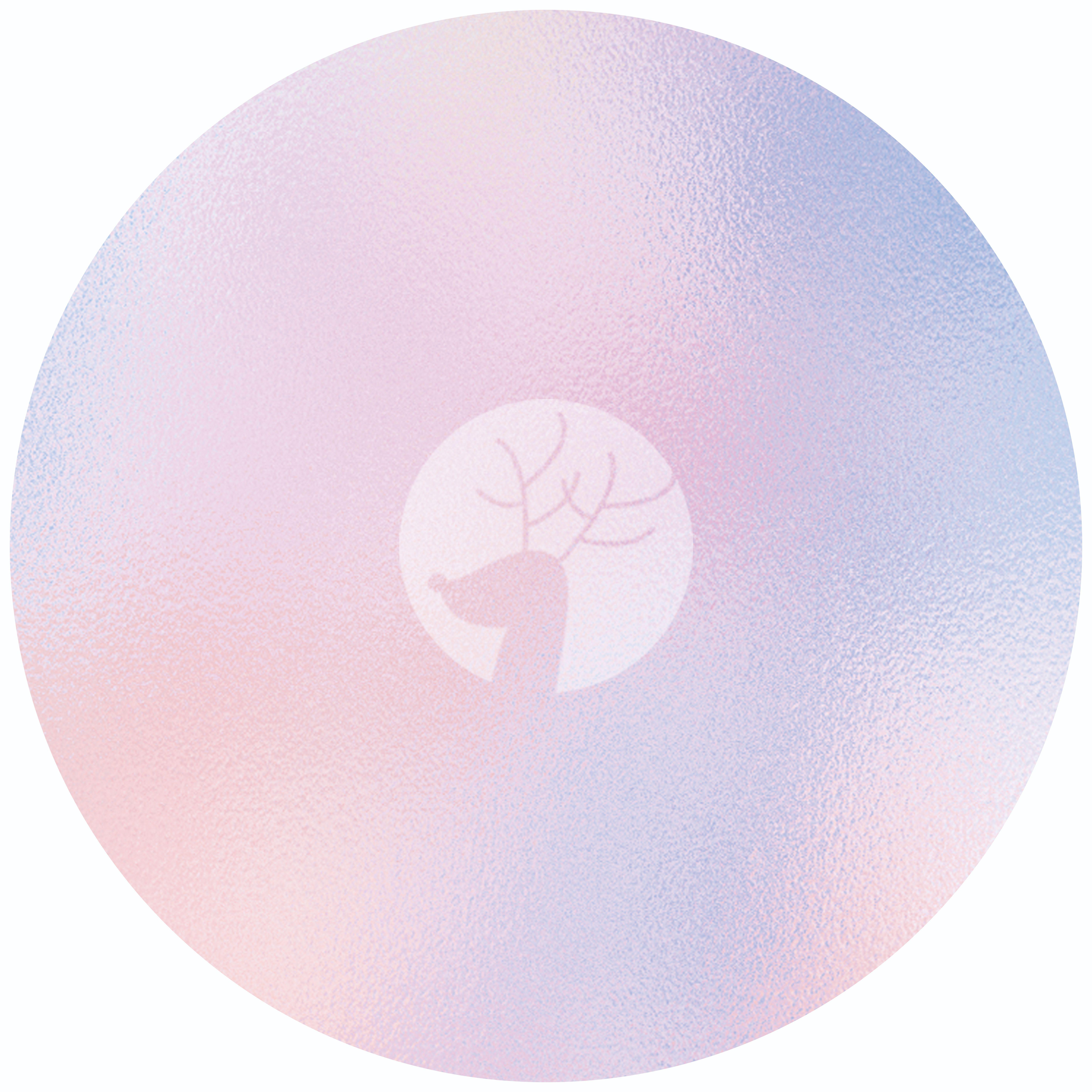 小鹿 Dear Deer