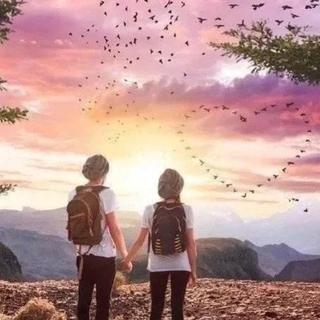 【流行】爱总是又甜又苦 | 热门情歌