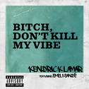 Bitch, Don't Kill My Vibe (International Remix)专辑