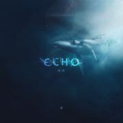 Echo