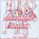 Moonlight Shadow (????)专辑