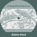 Chameleon专辑