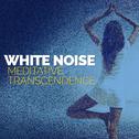 White Noise: Meditative Transcendence专辑