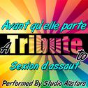 Avant qu'elle parte (A Tribute to Sexion d'assaut) - Single专辑