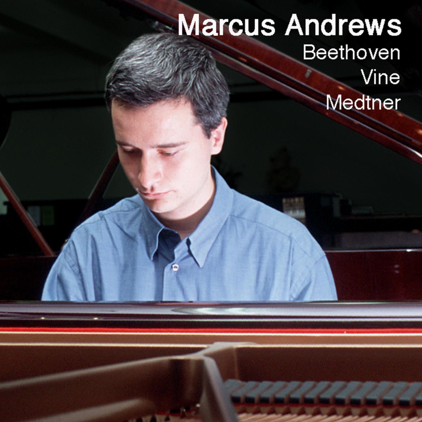 Vergessene Weisen, Op. 38: I. Sonata Reminiscenza