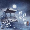 相思伴明月专辑