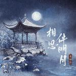 相思伴明月专辑