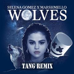 Selena Gomez & Marshmello - Wolves（TANG Remix）