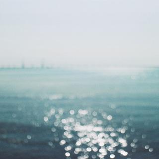 此生越重洋
