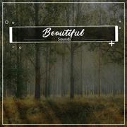 #19 Beautiful Sounds for Relaxation Therapy