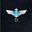 -PLA-Air-Force-