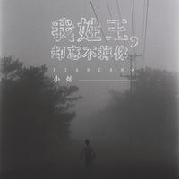 小灿 - 我姓王却忘不掉你(原版立体声伴奏)