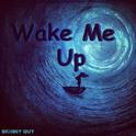 Wake Me Up专辑