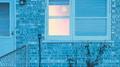 The Window专辑