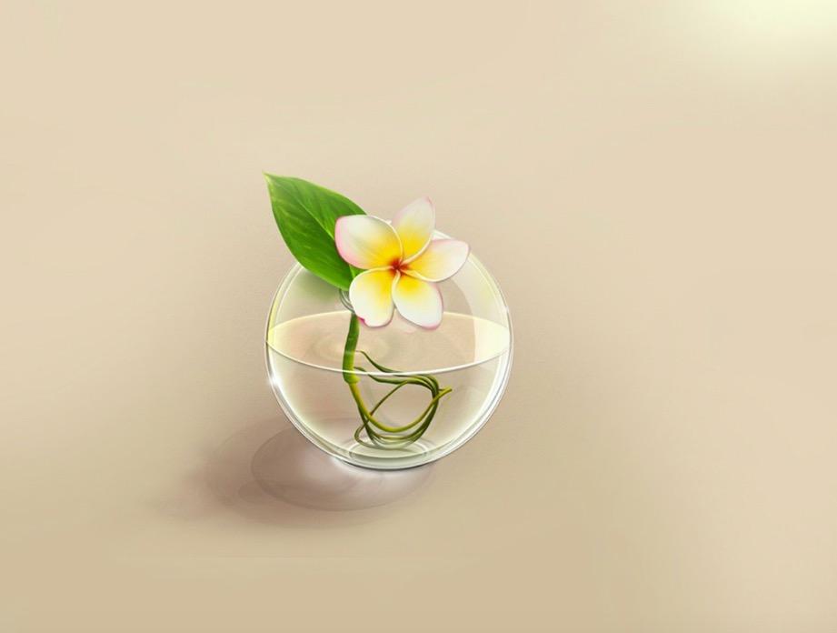 初花