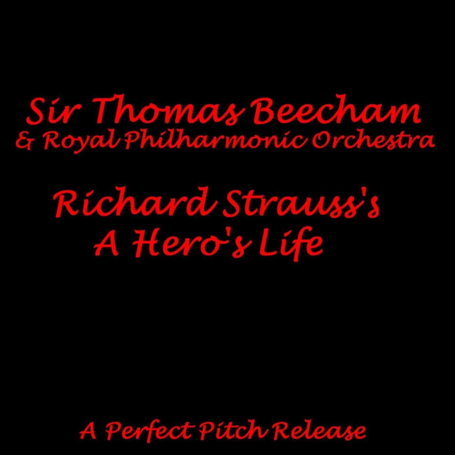 A Hero's Life: His Companion