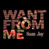 Sam Jay - Want from Me