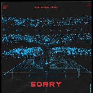 Alan Walker & ISÁK - Sorry (karaoke) 带和声伴奏