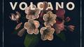Volcano专辑
