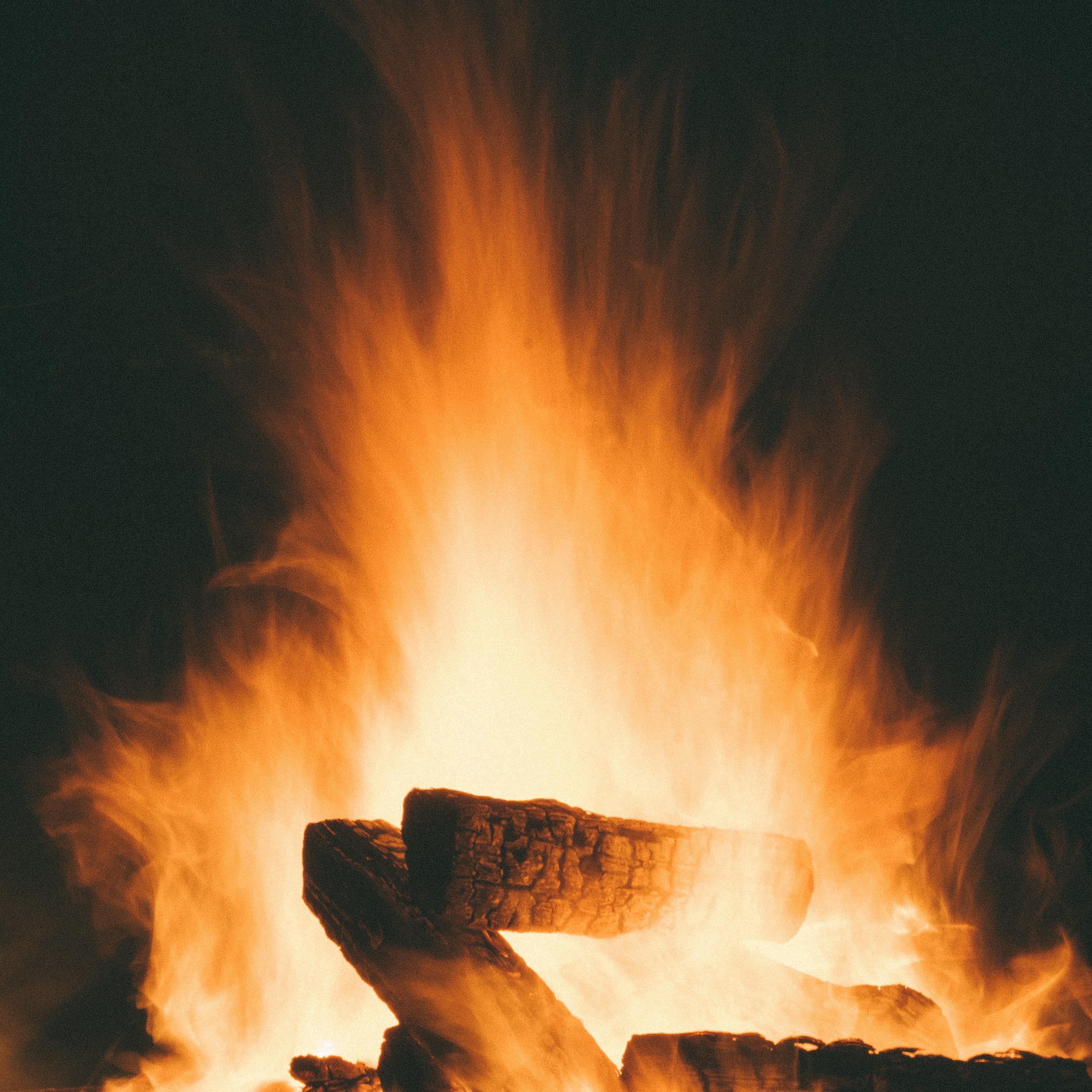 Burning With Cattle