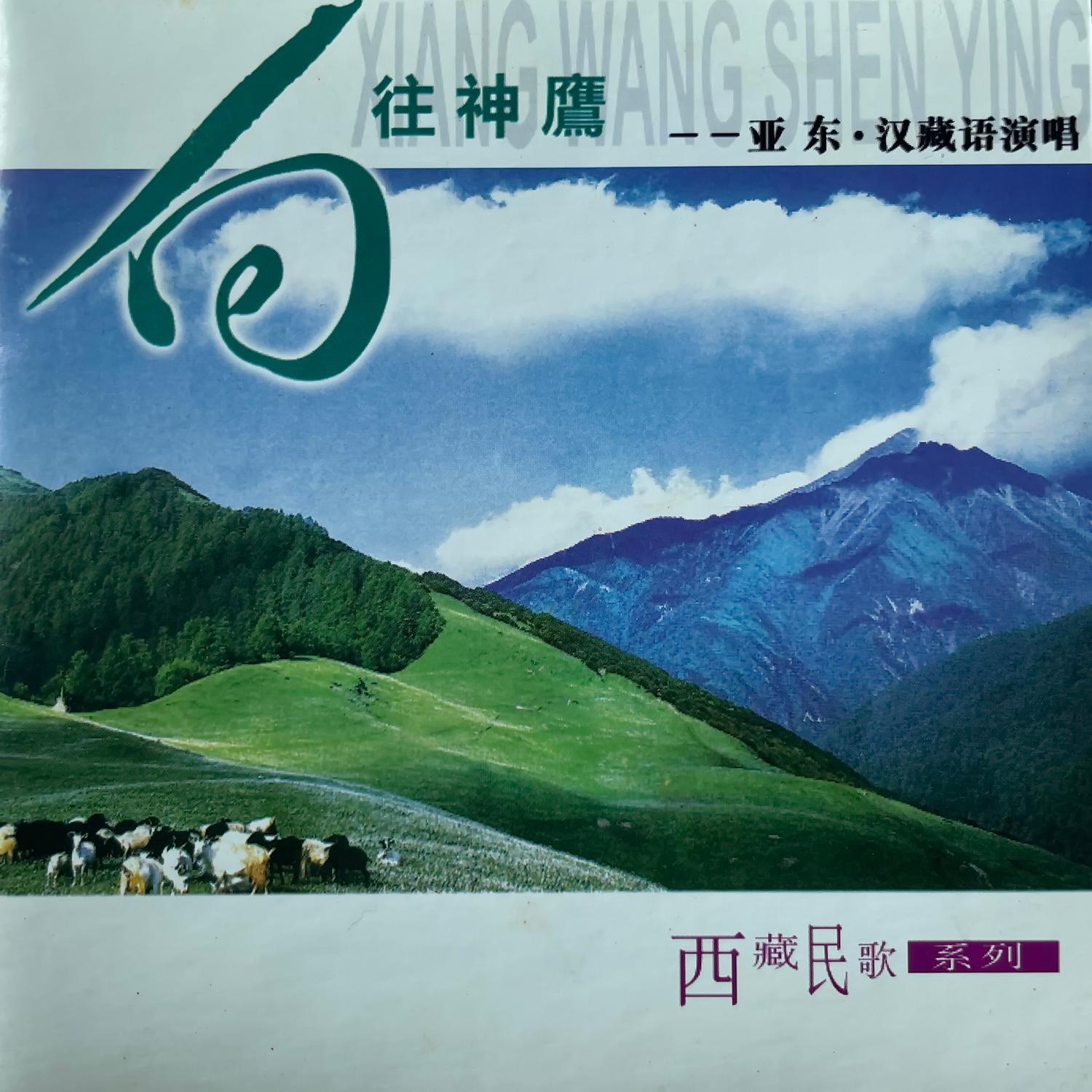 向往神鹰