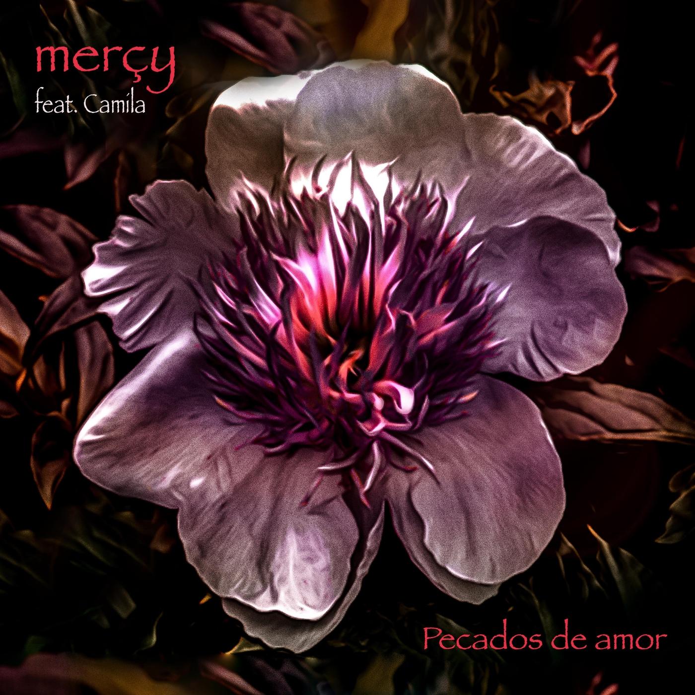 Pecados de Amor (feat. Camila)