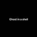 Ghost in A shell专辑