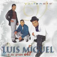原版伴奏   Luis Miguel - Solo Tu (karaoke)