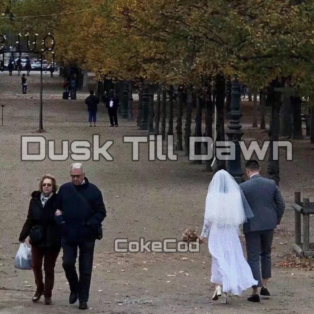 Dusk Till Down（Remix）专辑