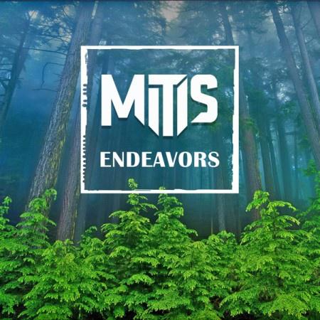 Endeavors + Alive Remix专辑